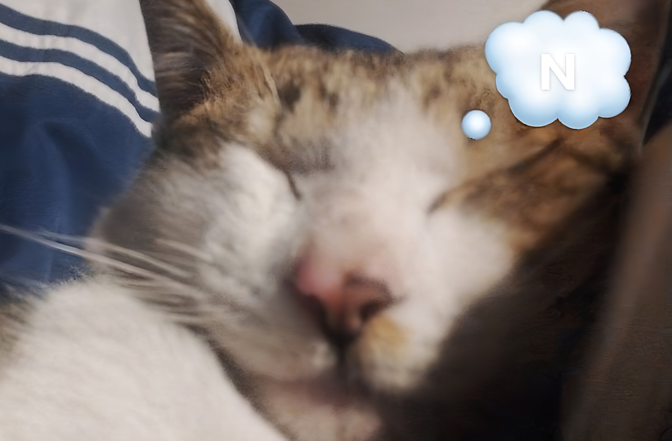 Img